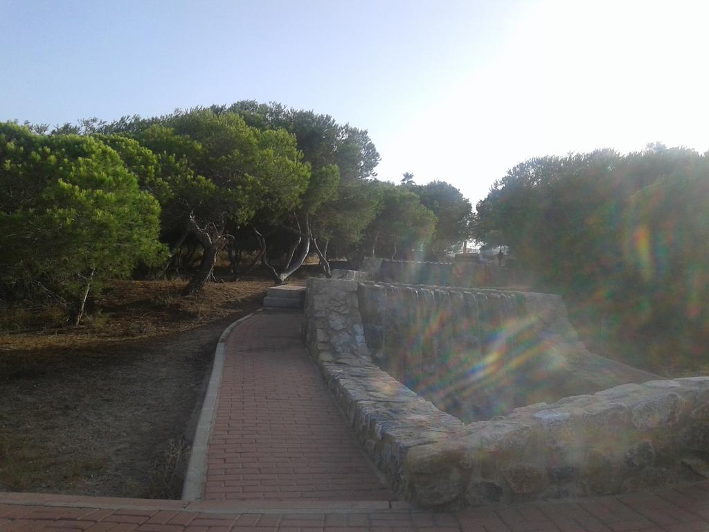 Apartement A La Mata Torrevieja Exteriör bild